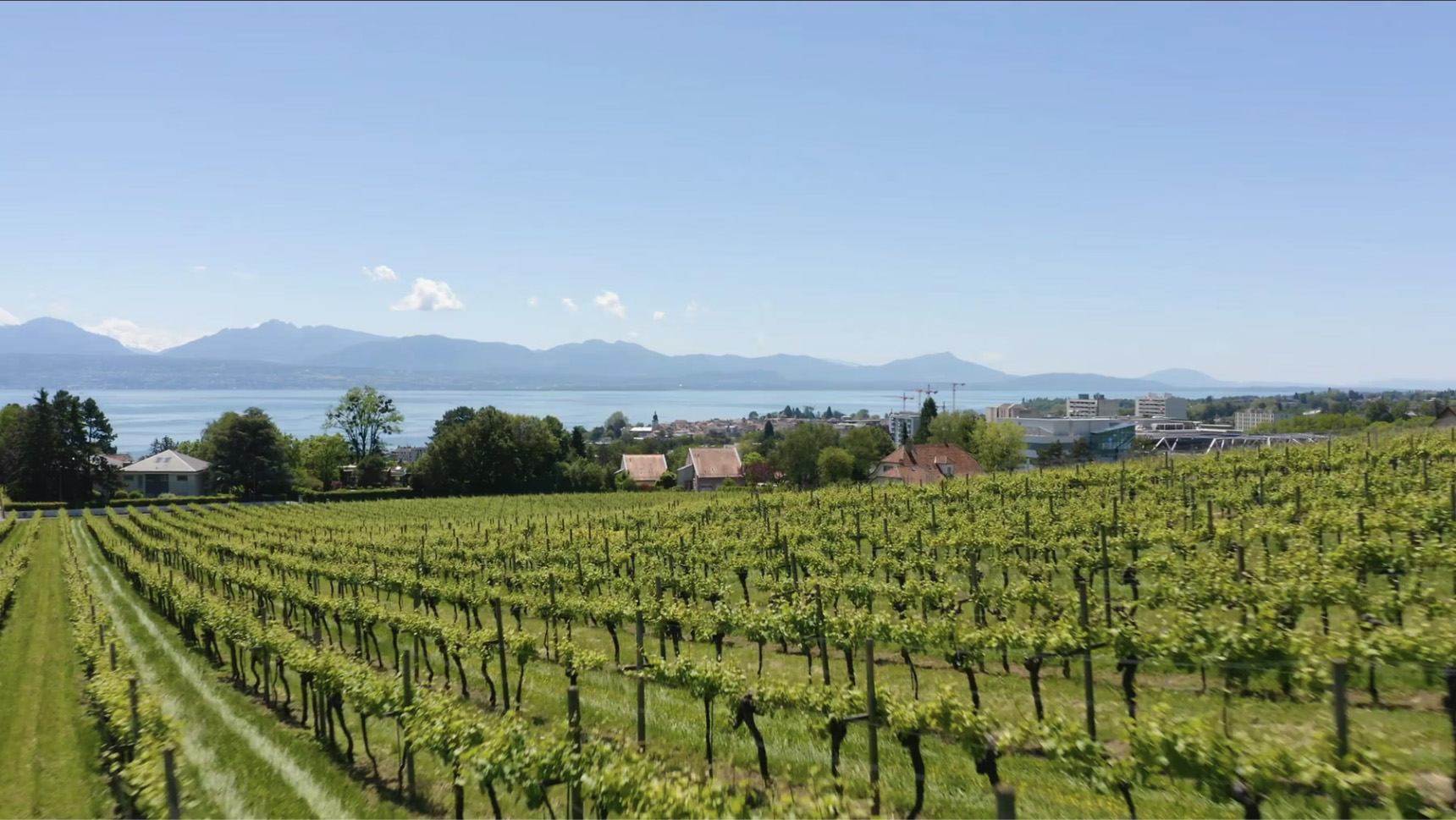 Agence immobilière à Echichens